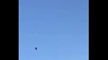 Tengo la mea pichula