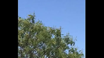 Tengo la mea pichula