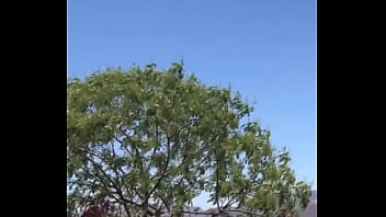 Tengo la mea pichula