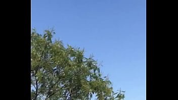 Tengo la mea pichula