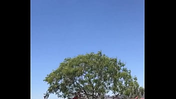 Tengo la mea pichula