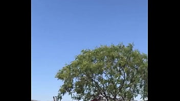 Tengo la mea pichula