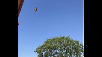 Tengo la mea pichula