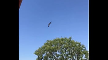 Tengo La Mea Pichula thumbnail