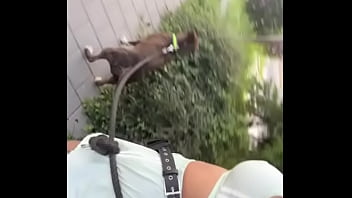 Most popular girl in the neighborhood