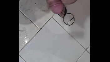 Helloween 2025 a cenoura maluca