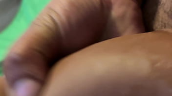 Paparock update #2 img 5305 aug 27 2025