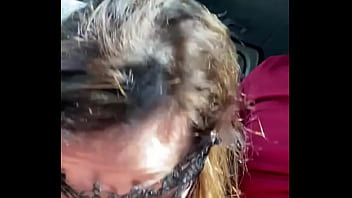 Voglia in macchina soli