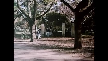 The night of the pencils