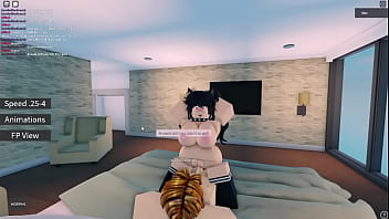 Vídeo de verificación