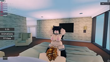 Vídeo de verificación