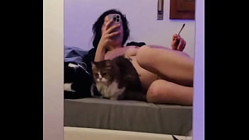 How many pussy can you see in the video