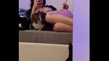 How many pussy can you see in the video
