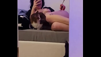 How many pussy can you see in the video