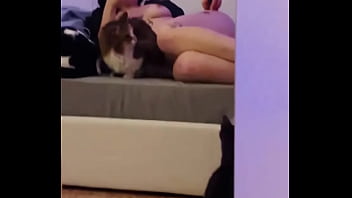 How many pussy can you see in the video