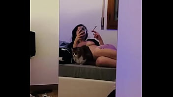 How many pussy can you see in the video