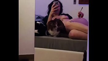 How many pussy can you see in the video