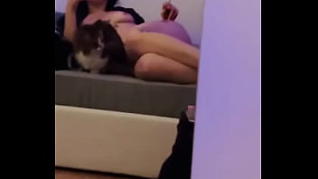 How many pussy can you see in the video