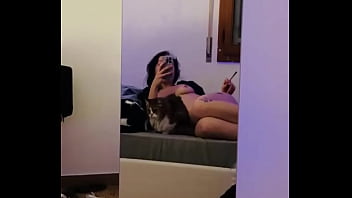 How many pussy can you see in the video