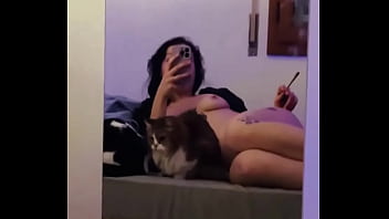How many pussy can you see in the video