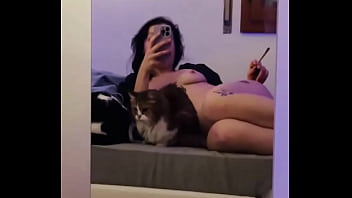 How many pussy can you see in the video