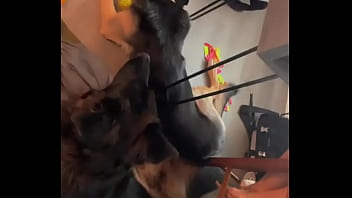 Sidekicks guarding mom while home