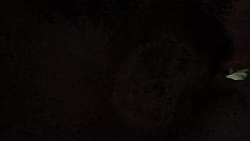 Ch ch getting serviced properly