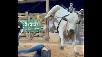 My step son first time riding a bull and going for round 2