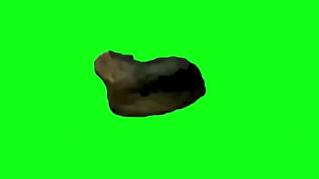 Cute cat test for 1st upload