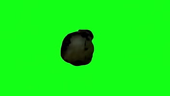 Cute cat test for 1st upload