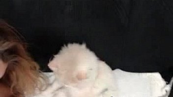 Perfect busty blonde sucks dildo on webcam