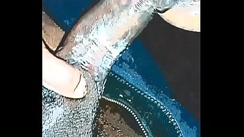 Comiendo Verga En Casa thumbnail