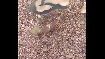 Lucas pissing off in rezende ex girlfriend gift and putting fire