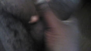 King taz the sex god