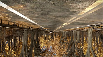 Сосед попросил занести яйца соседке