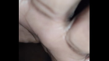 Although vampire scorpios are normally nocturnal they can also be diurnal sometimes continued