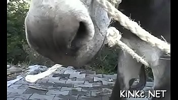 Sex ride with dose of fetish