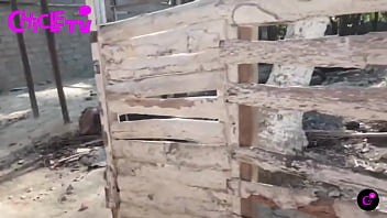 Recorrido por el barrio la isla