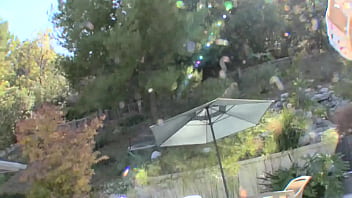 Kenna kane gives full service to a stiff cock