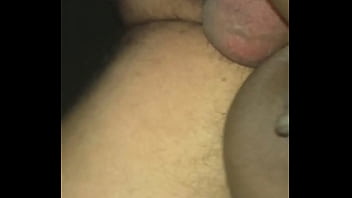 Paloma dando pro amigo