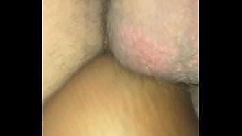 Paloma dando pro amigo