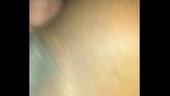 Paloma dando pro amigo