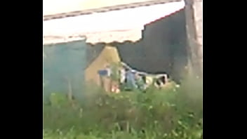 Thé tits officiel my neighbour