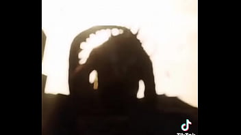 Valla infravalorado de mrd tu comentario me lo voy a tatuar en el fundillo para que en vez de tirar mrd tire lingotes de oro