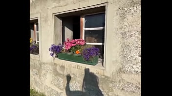 Fancy house with a sweet cow inside what’s the most unexpected thing you’ve found indoors #unexpectedfind #