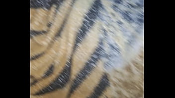 Ellie sanches filmada d pelo marido corninho