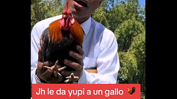 Jh detona a gallina con bendición