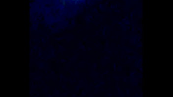 Latina slut giving me head in her back year shed