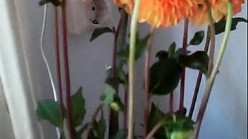 Close up sex action of an amateur couple