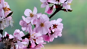 Encanador e puta'" '" shopping centerna avenida paulista